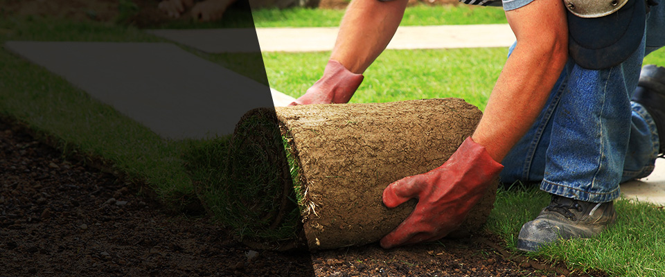 Cedar Knolls Landscapers